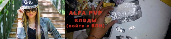 прущие грибы Дмитровск