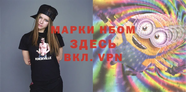сатива Дмитров