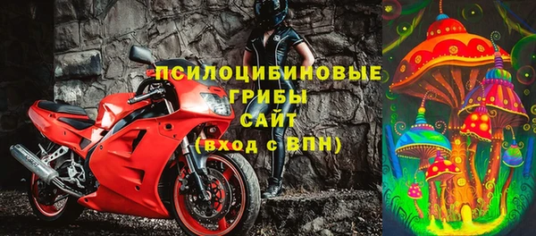 сатива Дмитров