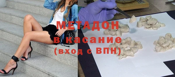 прущие грибы Дмитровск