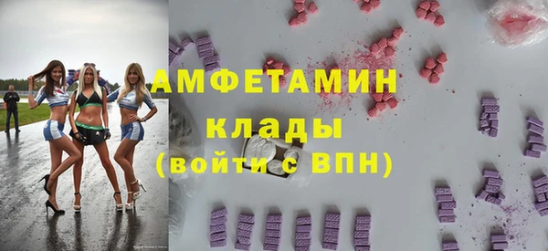 прущие грибы Дмитровск