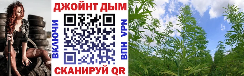 Конопля план  купить наркотики сайты  Красновишерск 